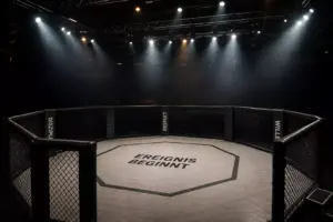 UFC Fight Night Wetten 2026 – Top Quoten für Undercards