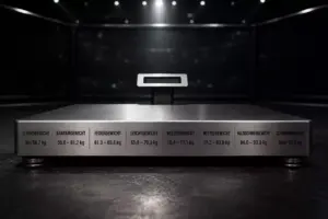 UFC Gewichtsklassen Wetten – Divisionen & Quoten 2026